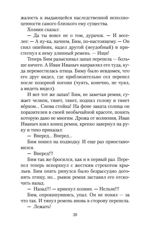 2-page-0019