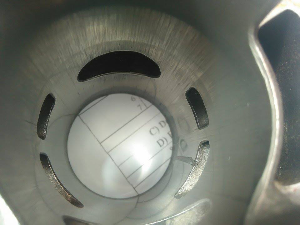 12895426_10208940538411234_416898604_n