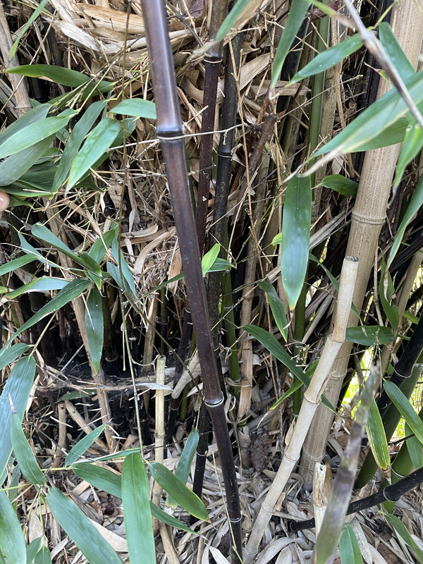 50A5346C-8EF0-4512-A18D-DC0A3F01FF8D