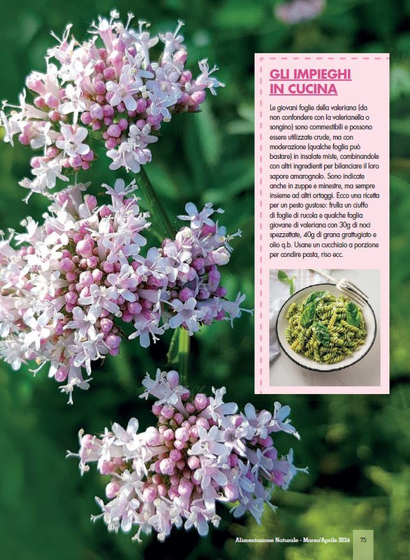 Alim Nat Mar-Apr 2024 (12)