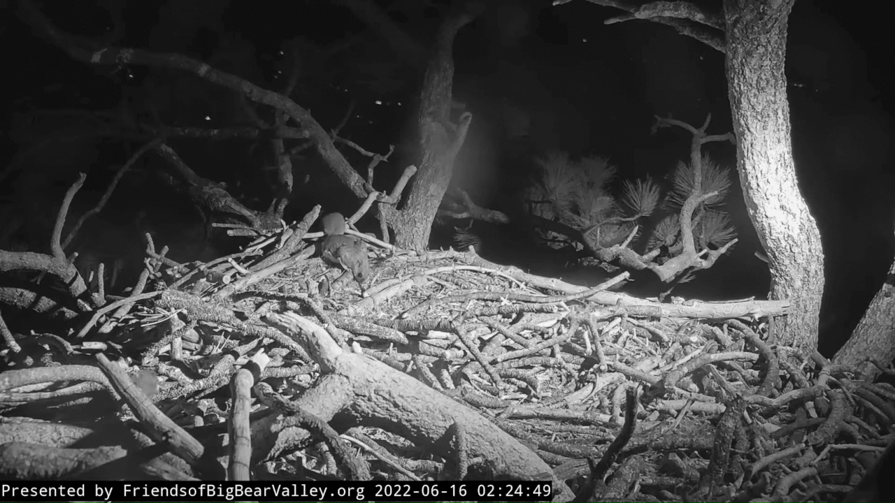 Webp.net-gifmaker (5)