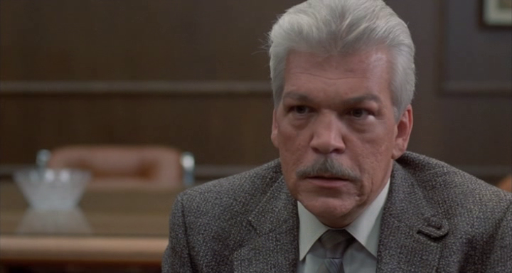 vlcsnap-2023-12-29-20h30m48s718