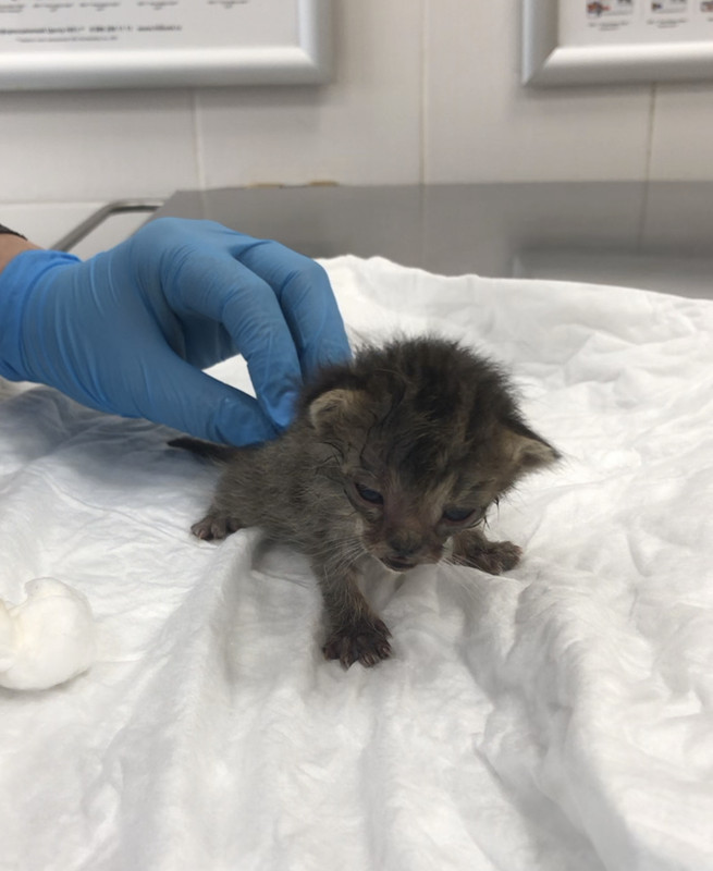 7EF5457E-1880-4D48-A9B0-D96D24143690