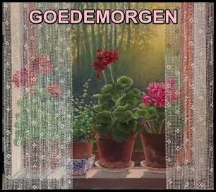 2440676-fb468120d101de7301a0654470d5395c