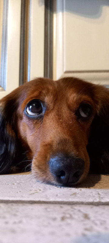 [Image: 20241019-123200.jpg]