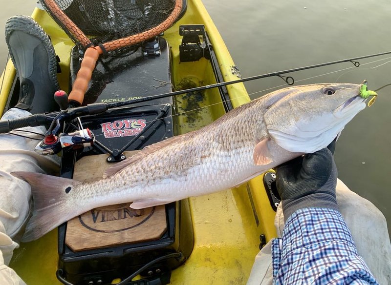 Corpusfishing.com :: View topic - Sometimes 