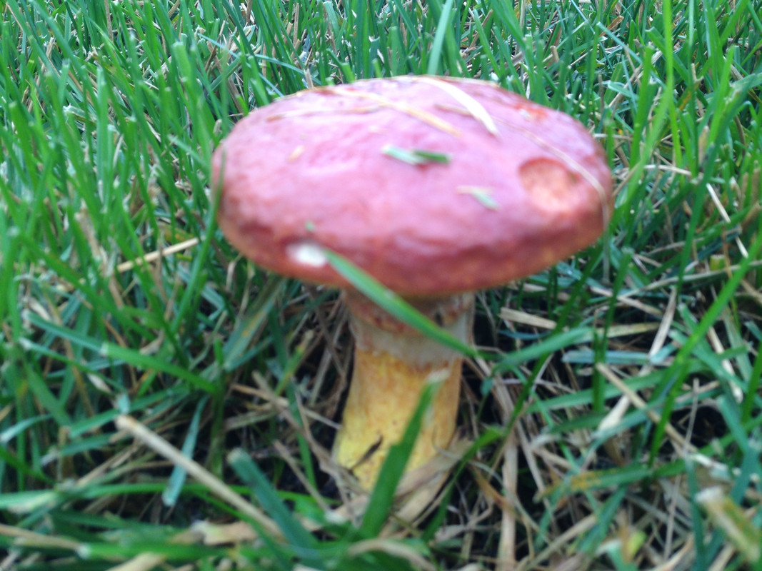 17006BA1-92AD-42BC-8A64-4D7BB31772E6