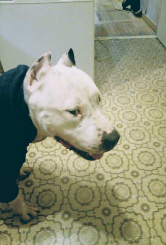 874EAEA7-3398-4A69-A7B4-F27584D2178E