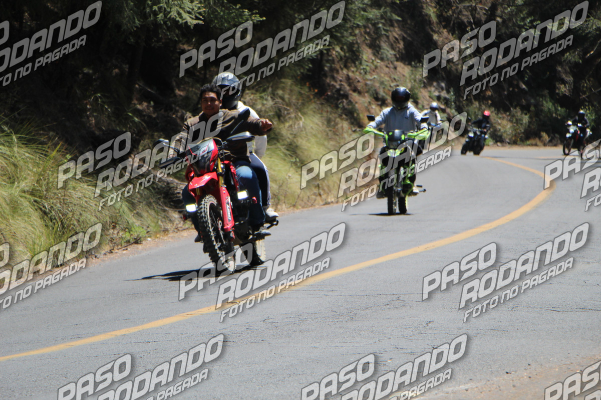 IMG 9547 wm 3217031 9 watermarked — Postimages