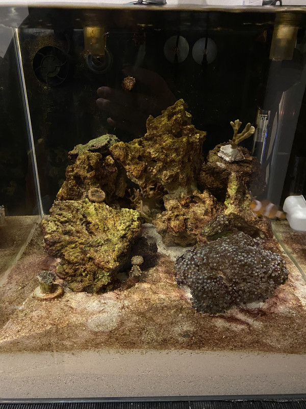 98DBB2C4-62AD-4A8A-BF49-6A305F9B2BF4