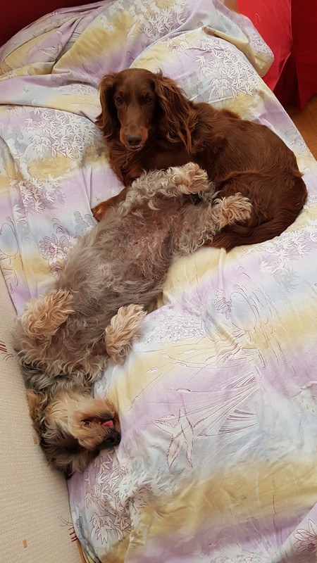 [Image: 20200913-162241.jpg]