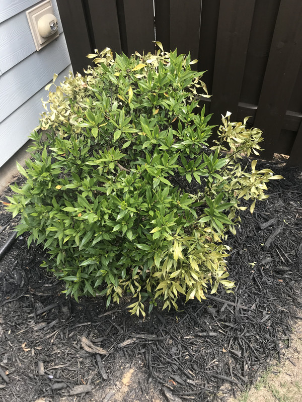 B0587DD1-0305-4986-B9D9-DECAA6527285