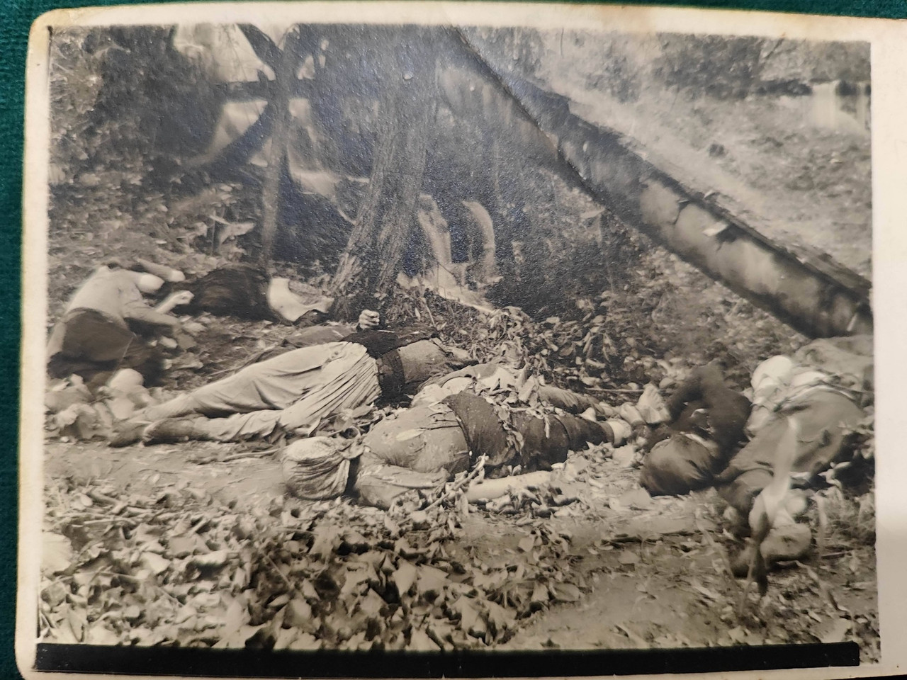 [Слика: 643757698-904525699216754-1224488382997408002-n.jpg]