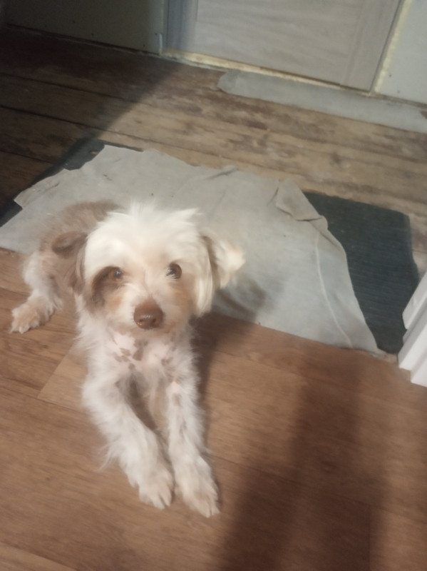 6B86E7EA-7976-4178-A47D-AC89A85ABAB8