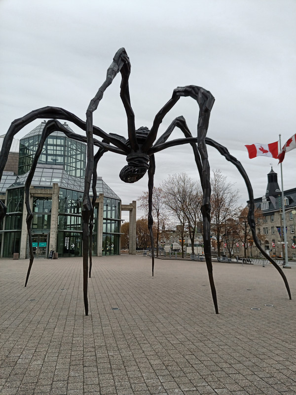 IMG_20210504_143145_077