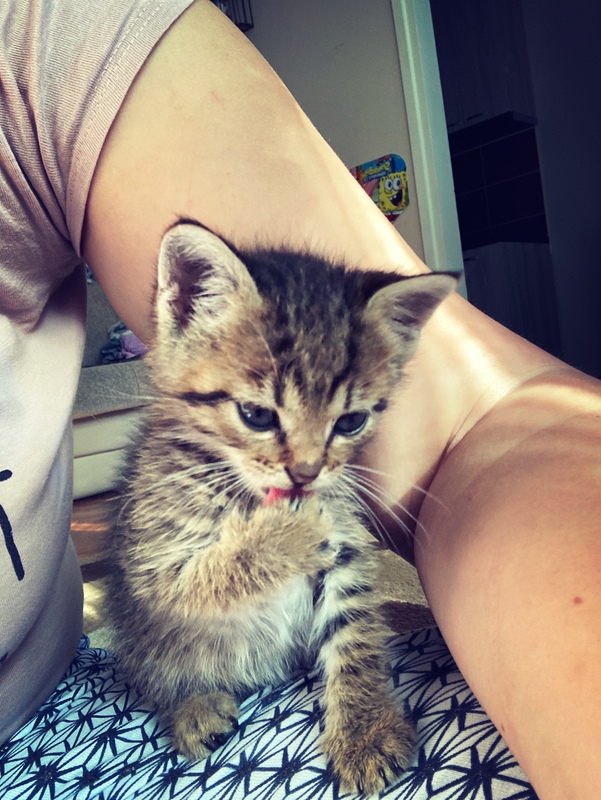 94AFAAE7-8887-4616-8900-B9A93133200A