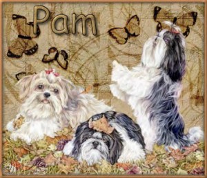 Pam_Dogs_Playful