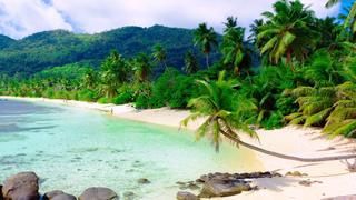 Thơ hoạ Nguyễn Thành Sáng & Tam Muội (1107) Coast-of-Vietnam-Nha-Trang-Tropical-Sand-Beach-Ocean-Rocks-Palms