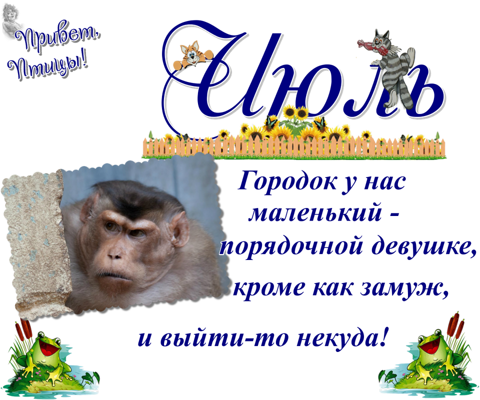 https://i.postimg.cc/Hx40v3Cm/30-07.png