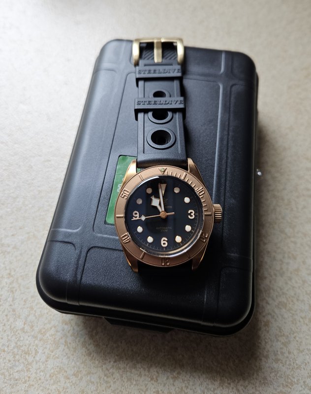 Le club des heureux propriétaires décomplexés de montres "hommage" - tome 9 - Page 19 20250225-110143