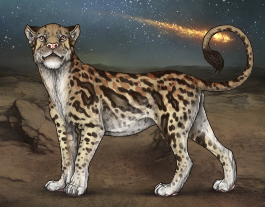 Screenshot 20251113 220617 Chrome