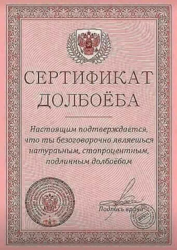 Сертификат долбоеба