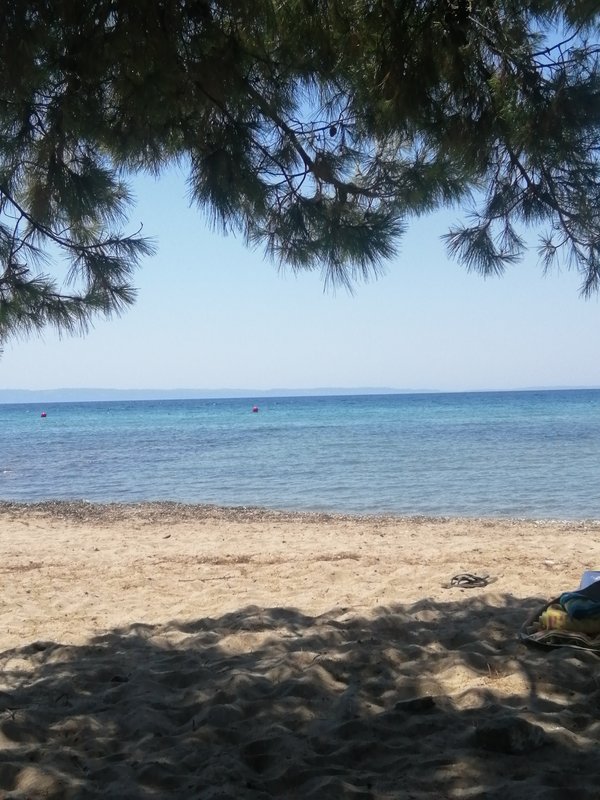 Slika