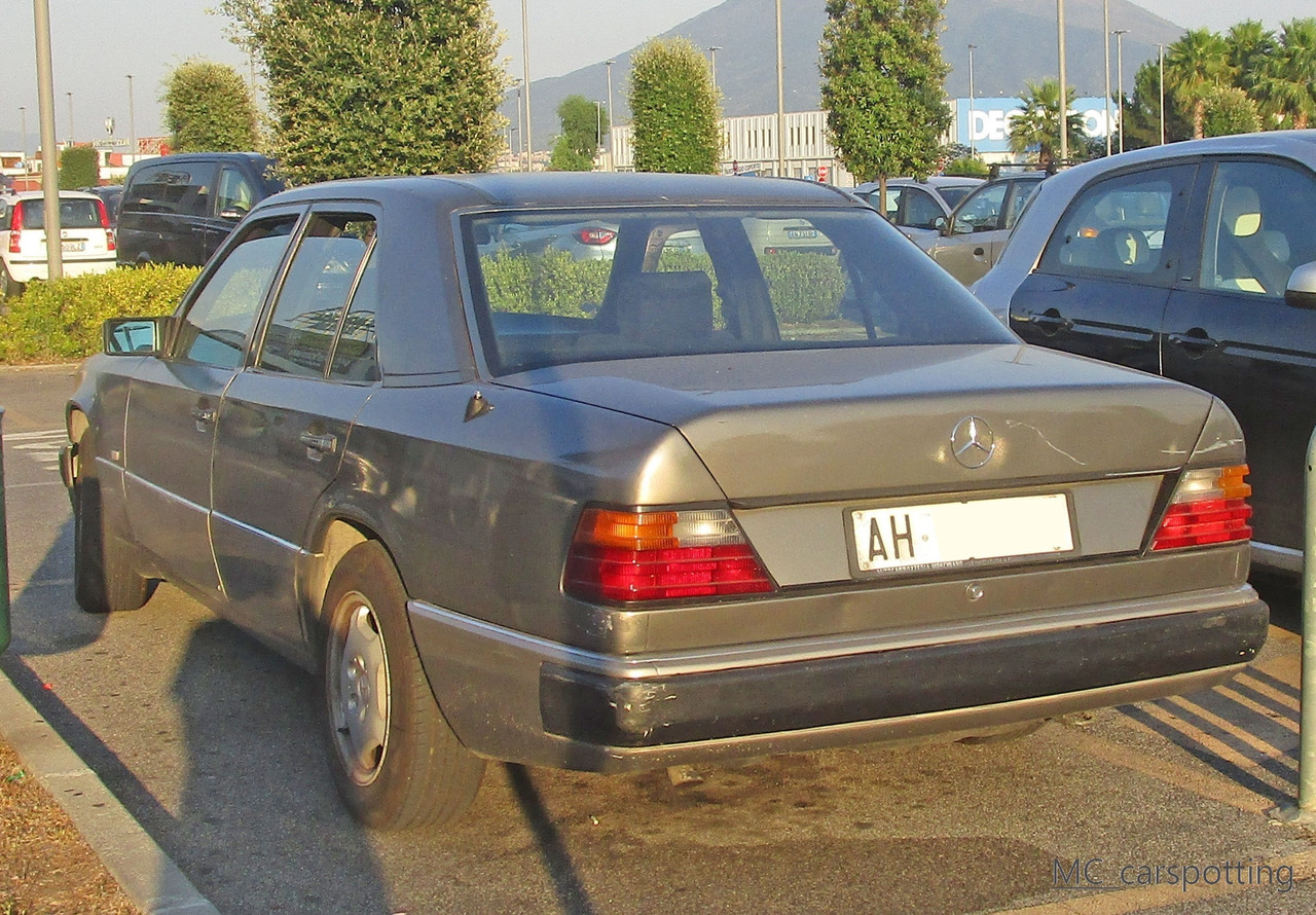 IMG-8581.jpg