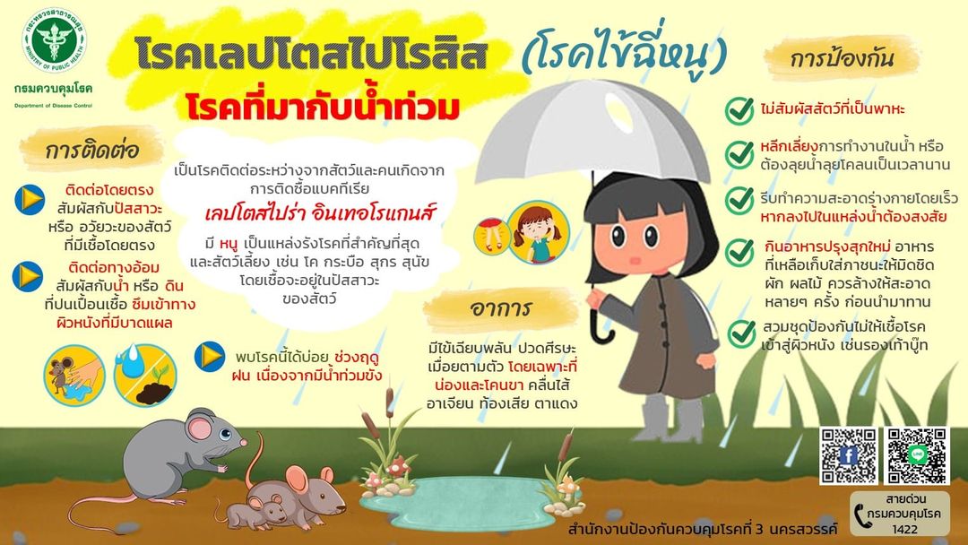 โรคไข้ฉี่หนู
