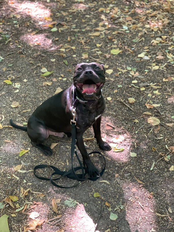 74C5E995-F892-45D6-BB16-4B4DFDD39D02