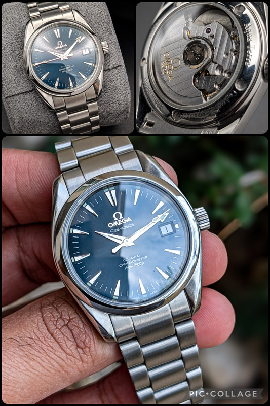 Collage 2026 02 20 20 32 41