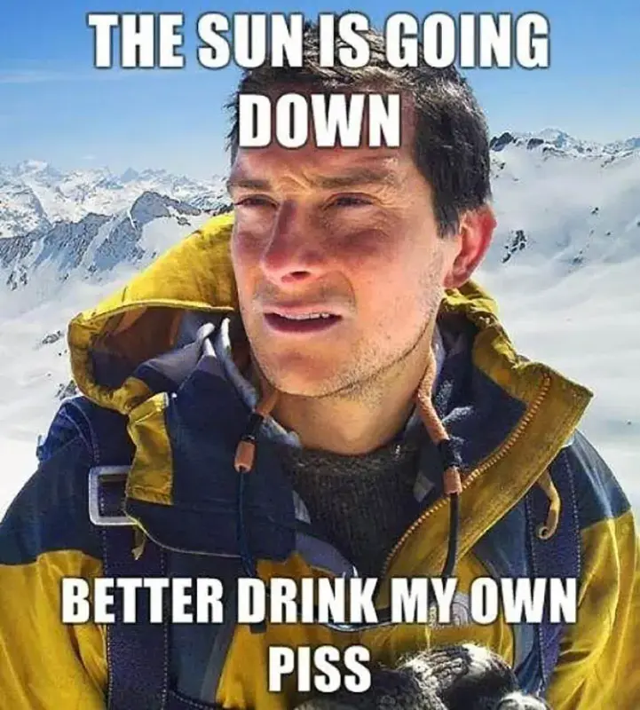 bear-grylls-meme.webp