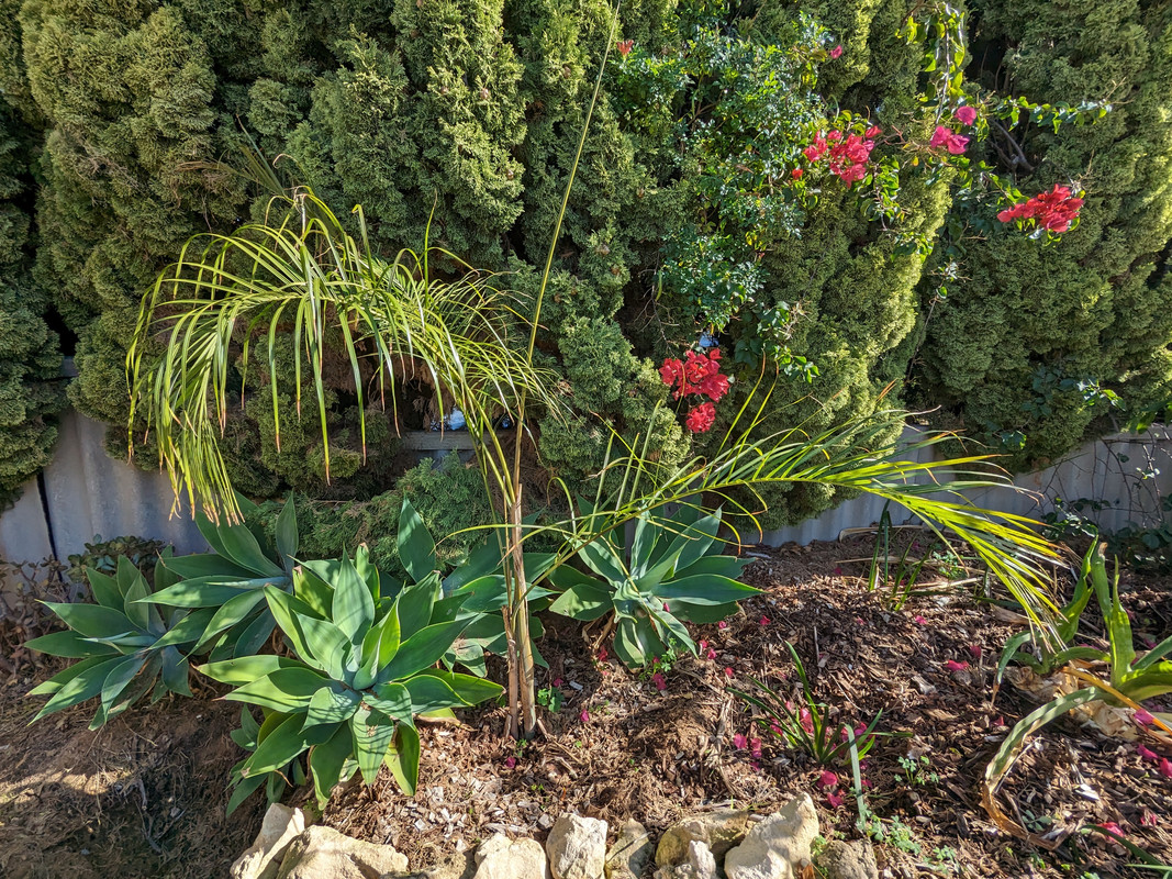 PXL_20240603_040513442