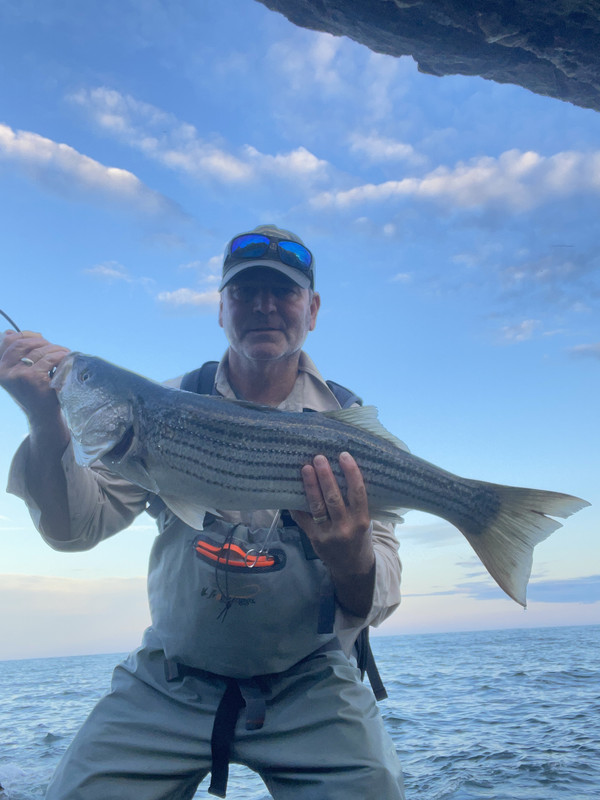 15D59C6C-8315-4D6E-9905-014E23FFA36A