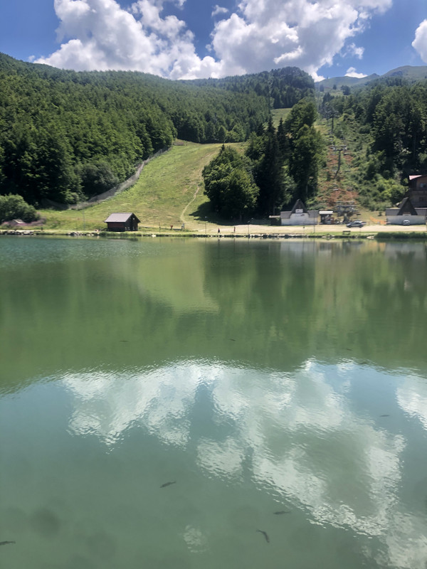 FFE0FC05-8BFE-4B68-8CB6-3A6BDCF6E25E