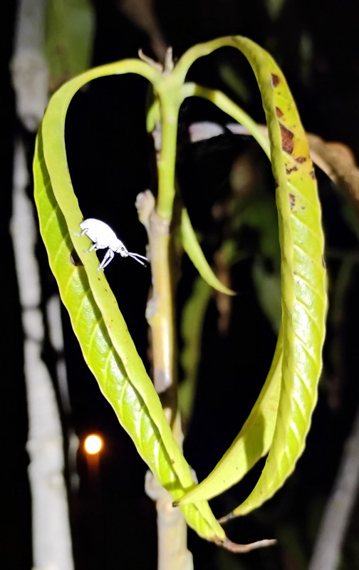 IMG 20260227 210639334 2