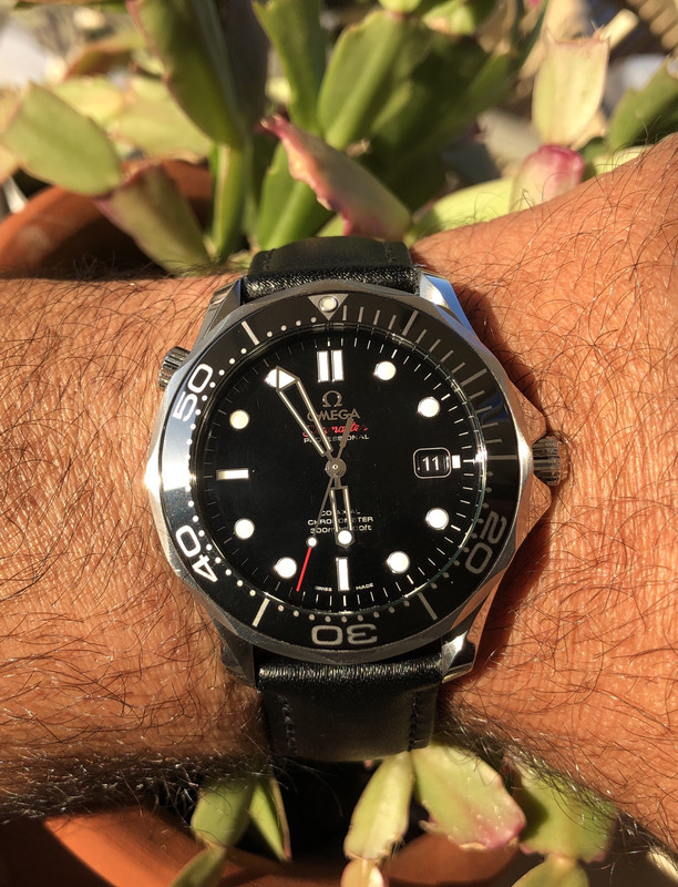 05CA5248-3BDC-46D8-BE78-E6157331D1EC