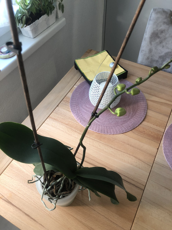 41202F91-7323-4EAB-9F24-BD74D387898B