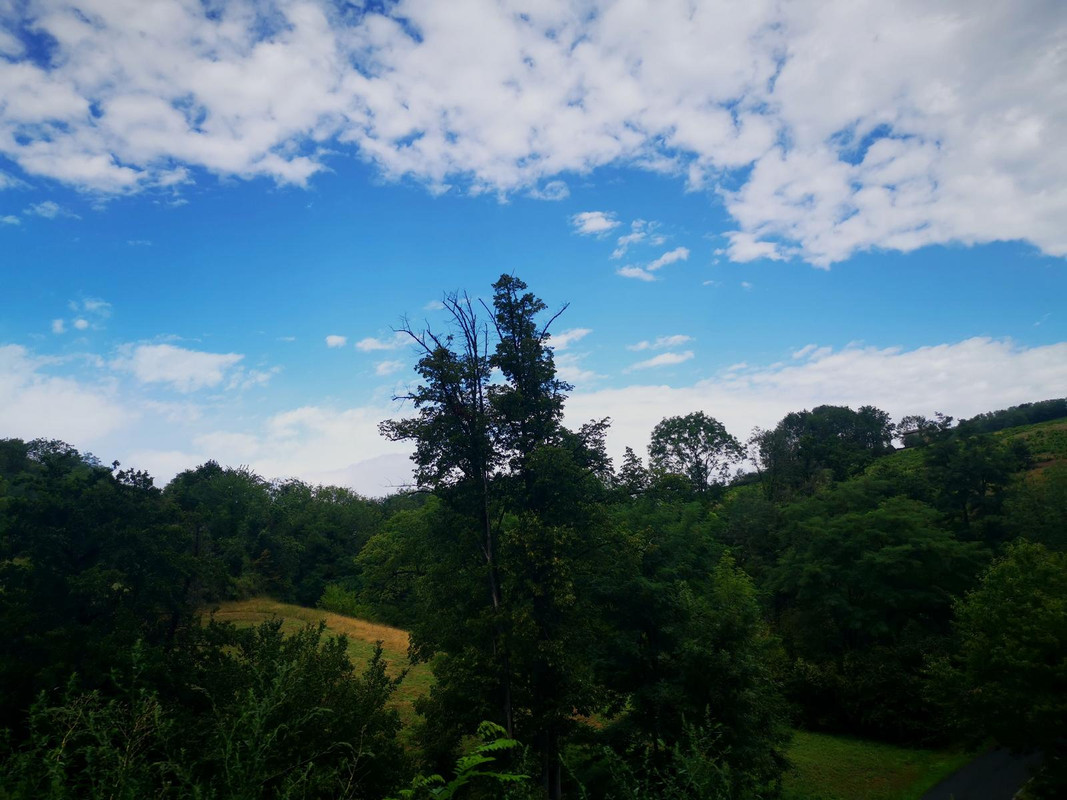 Bourgogne2019 (6).jpg.1