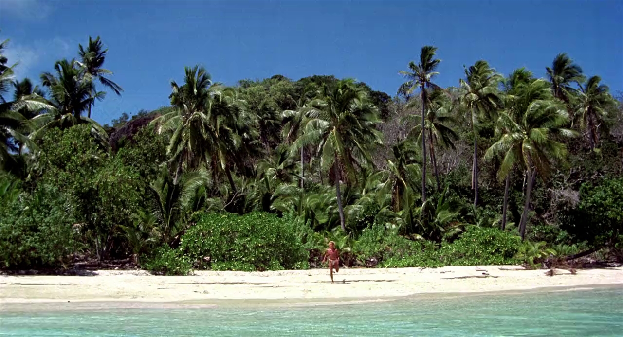 The Blue Lagoon (1980) Free Movie Download The Blue Lagoon (1980) Free Movie Download