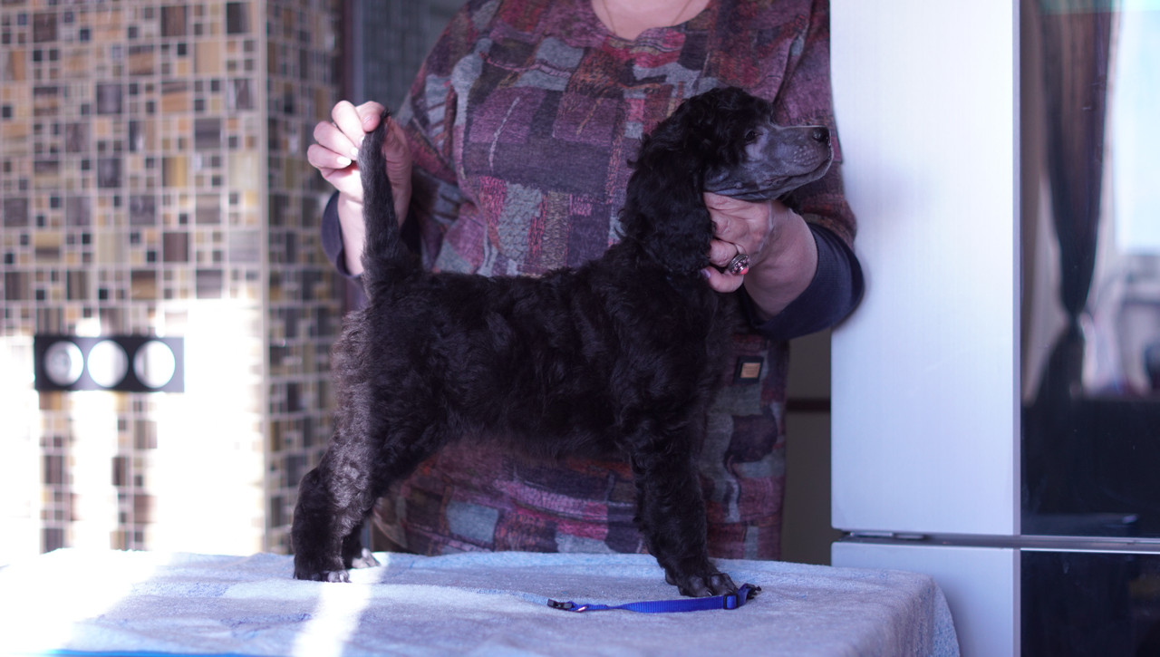 55AE8C37-2711-4E0F-80A4-7D2E498EB8F9