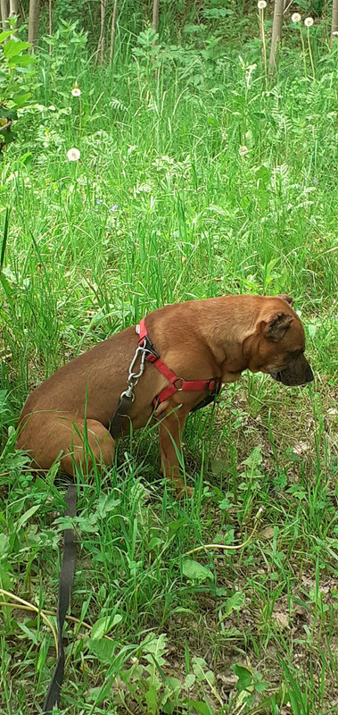 20230530_121532(0)[1]