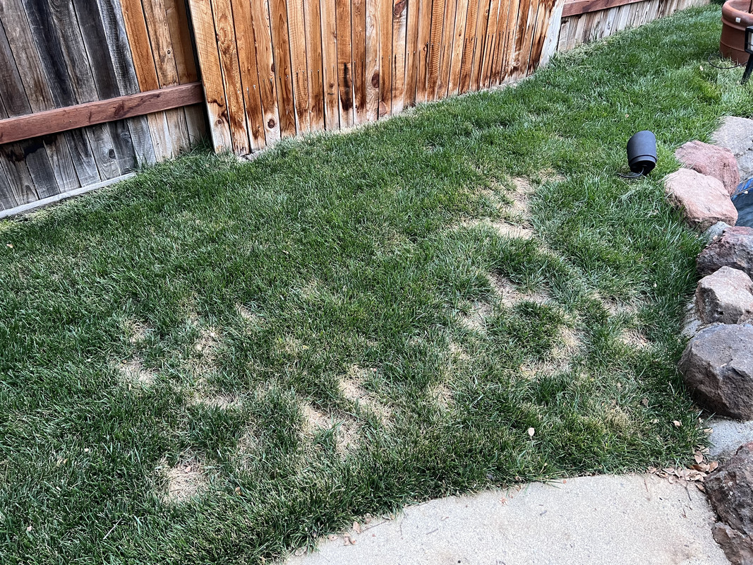 924E49F3-F79E-4C03-9D6D-4D9030C91EFA