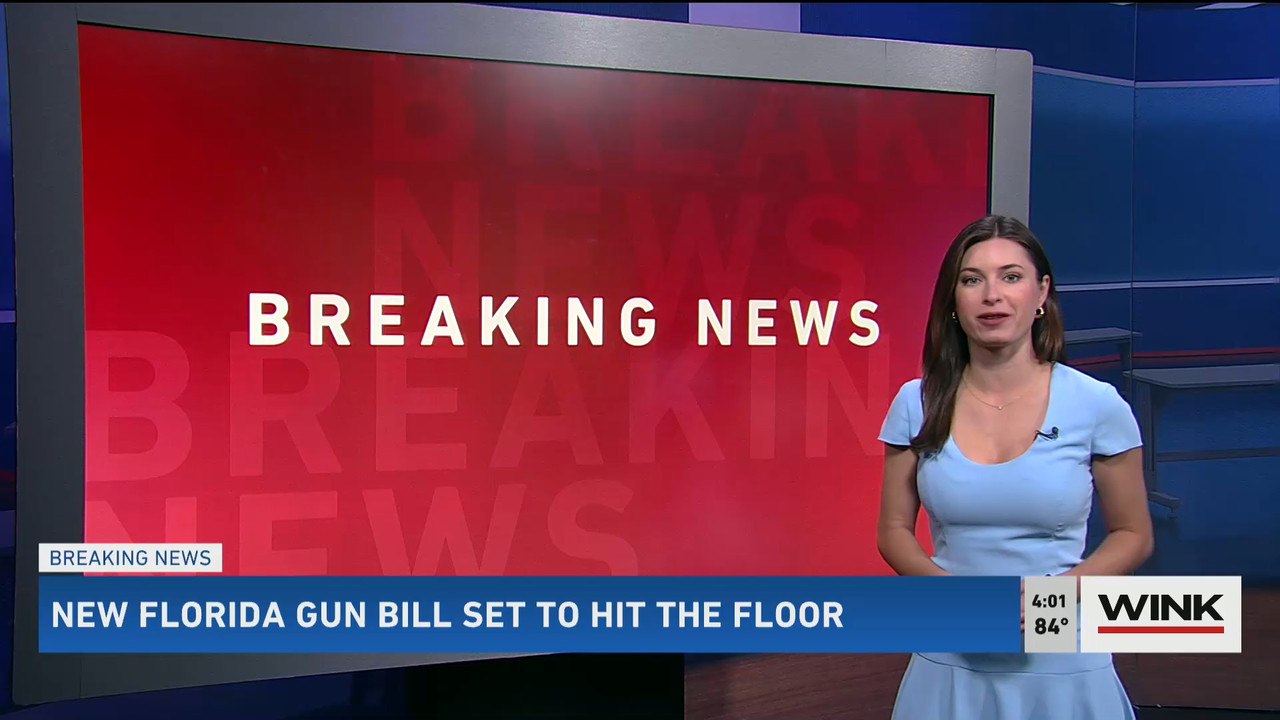 01.31 - 20.00.00 - WINK News at 3pm  ᴺᵉʷ..ts_snapshot_01.07.50.209