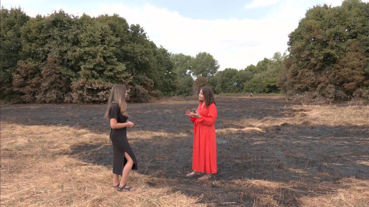 ITV News London_20220729_18001830.ts_snapshot_06.39.119
