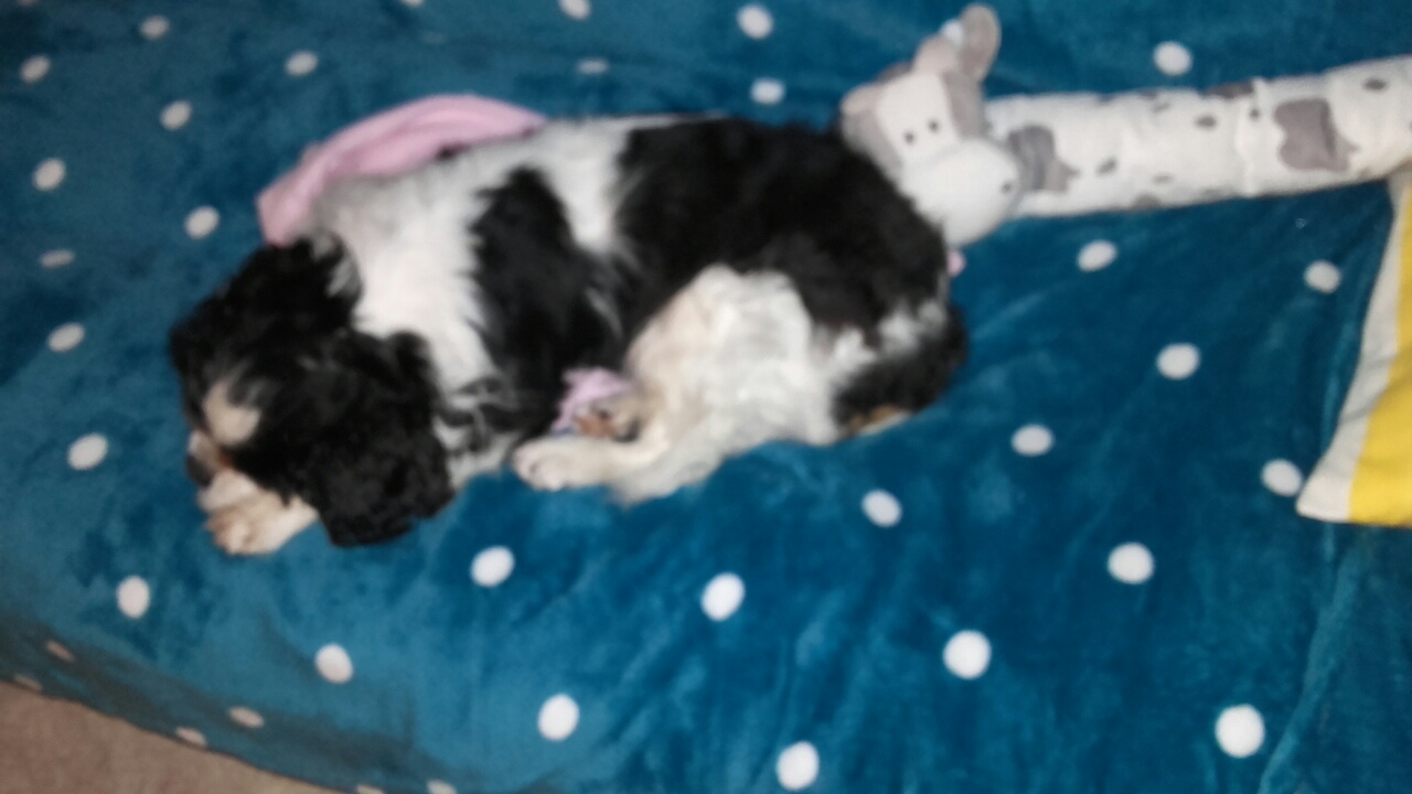 видит сладкие сны2