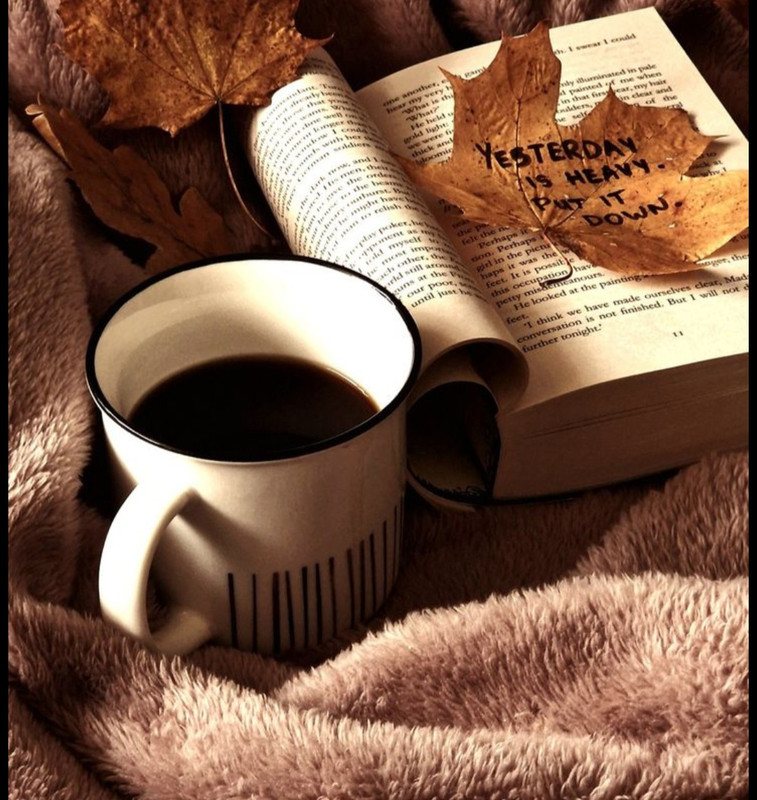 Screenshot_20251002_194327_Pinterest