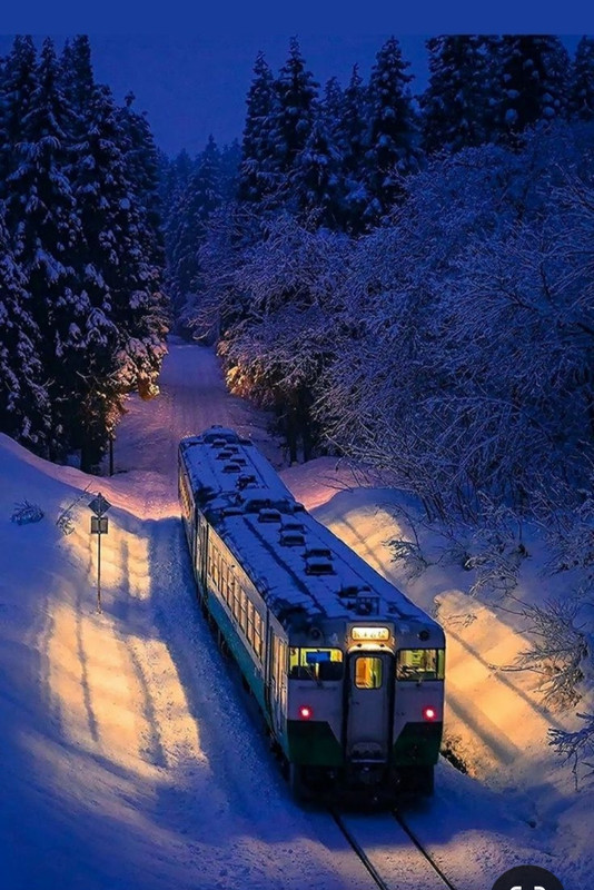 Screenshot_20230904_224510_Pinterest