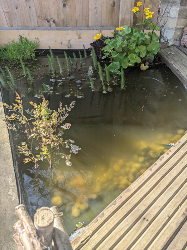 4A49F404-1E44-40EF-8959-47A7BEEE9B75