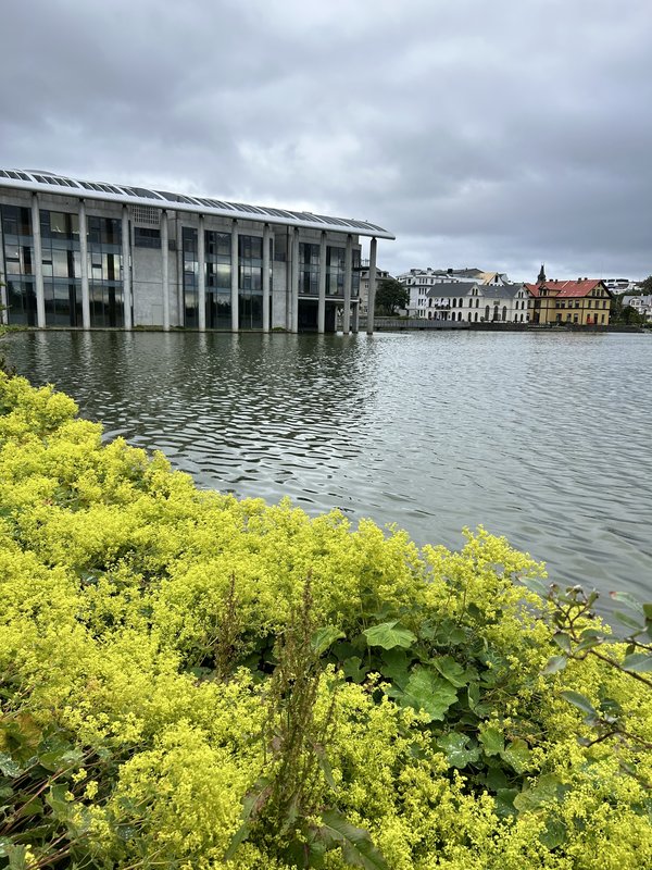 ISLANDIA, 21 DÍAS EN UN 2º VIAJE A LA TIERRA DEL HIELO Y FUEGO - Blogs de Islandia - 16/07/2025 ESTO SE ACABA... NOS DESPEDIMOS EN REIKIAVIK CON OTRA SORPRESA (3)